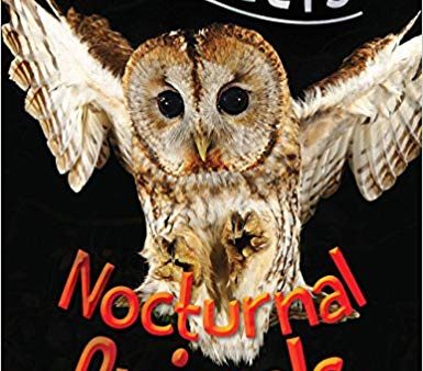 100 Facts Nocturnal Animals For Discount