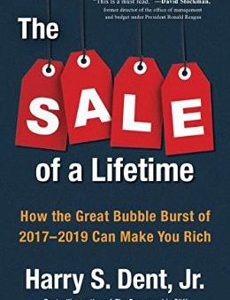 The Sale of a Lifetime: How the Great Bubble Burst of 2017-2019 Can Make You Rich on Sale